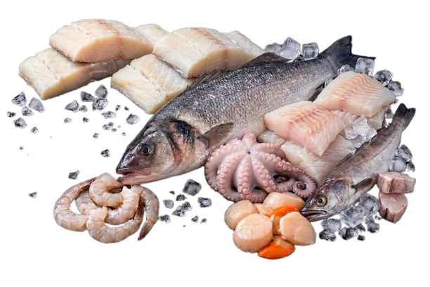 Peixe e Marisco