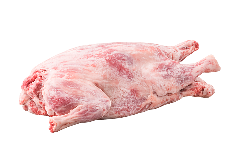 Borrego / Cabrito Cong.