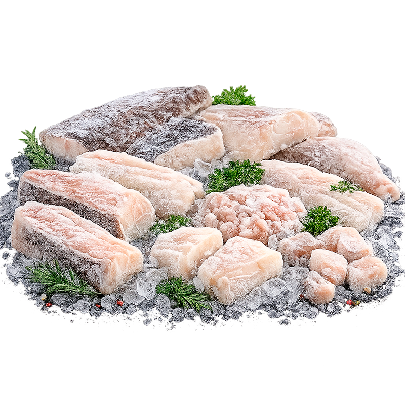 BAC. CACHAÇOS  REF.17215 - BomPORTO