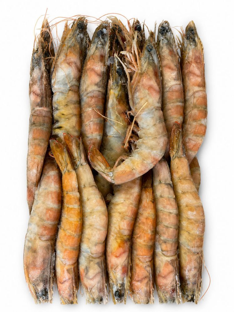 CAMARÃO 10/20 SELVAGEM NIGERIA CX:6x2KG