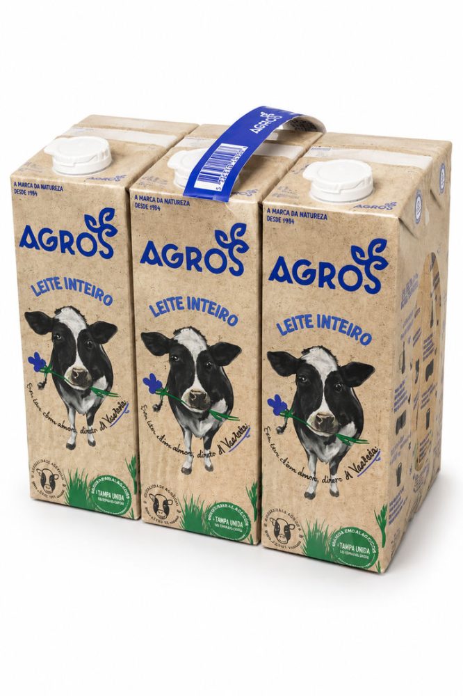 LEITE GORDO 6x1L AGROS