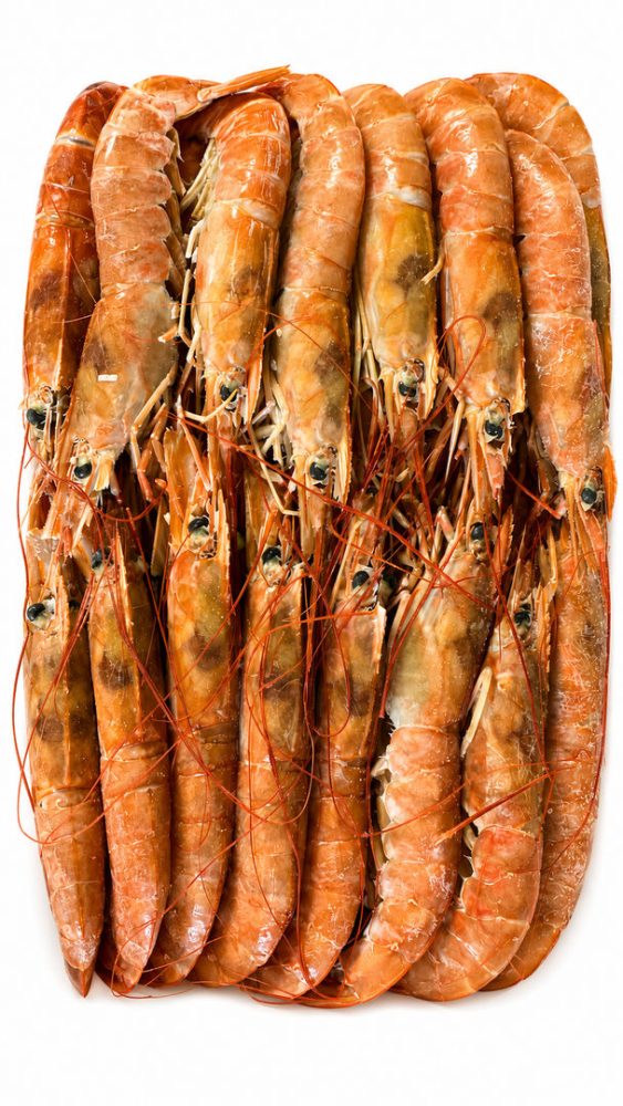 CAMARAO Nº1 10/20 BORDO ARG. (cx:6x2kg) - CONARPESA