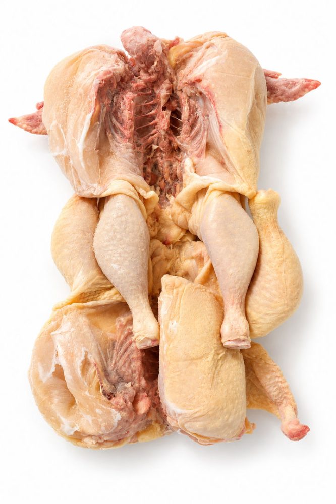 FRANGO CONG. ABERTO 1.0/1.1GR