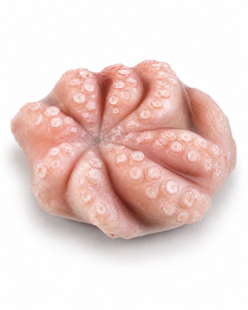 POLVO VIRGEM MRC -1KG FLOR C/ETQ. 1X1/CX: 10UN - MOYSEAF
