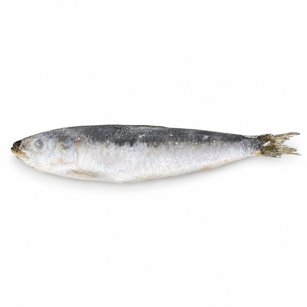 SARDINHA NACIONAL (SELECIONADA) 10/12 CONG. IQF CX.10KG